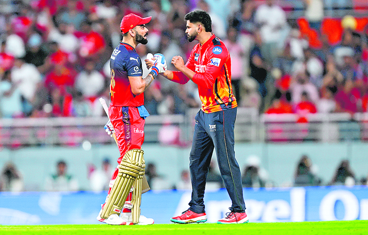 rcb_20vs_20pb.jpg