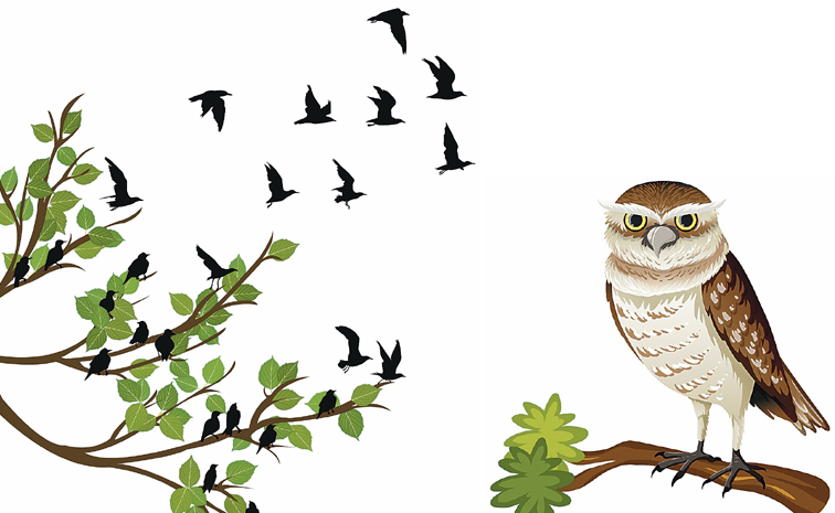 birds-kidsstory.jpg