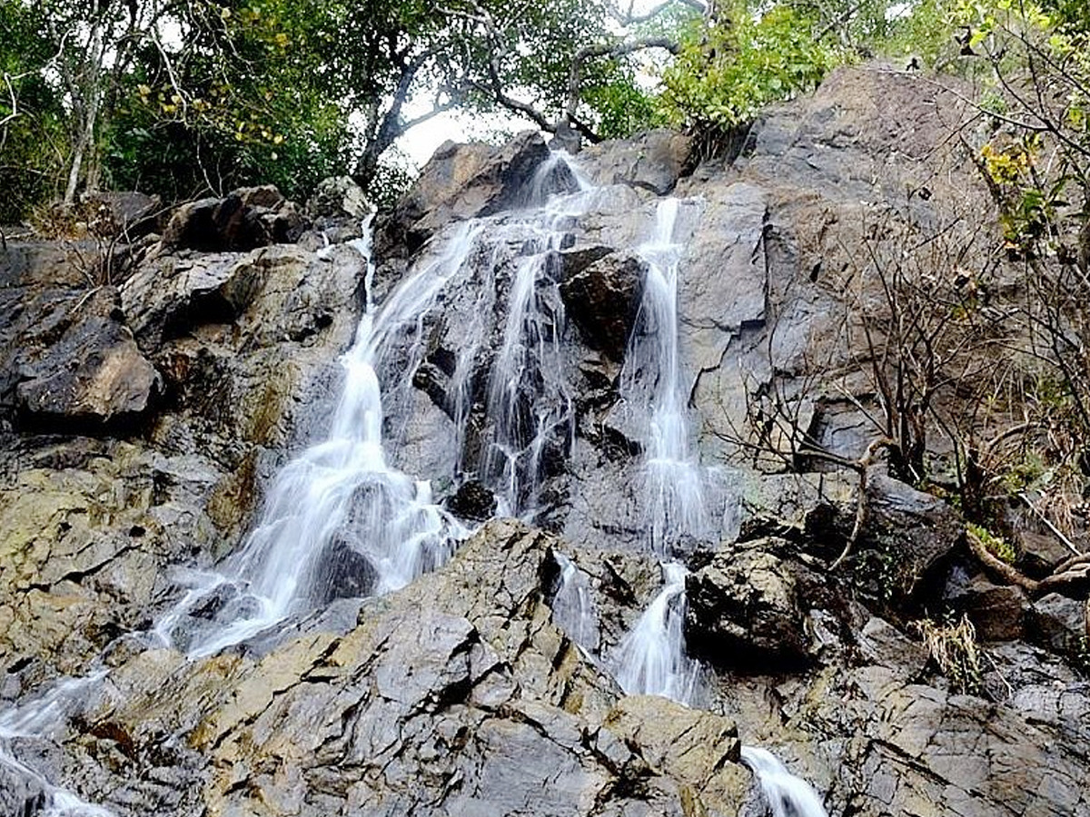 Dandeli_20waterfall6.jpg 8