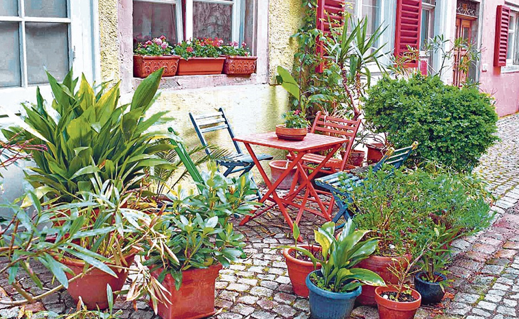 home-gardening.jpg