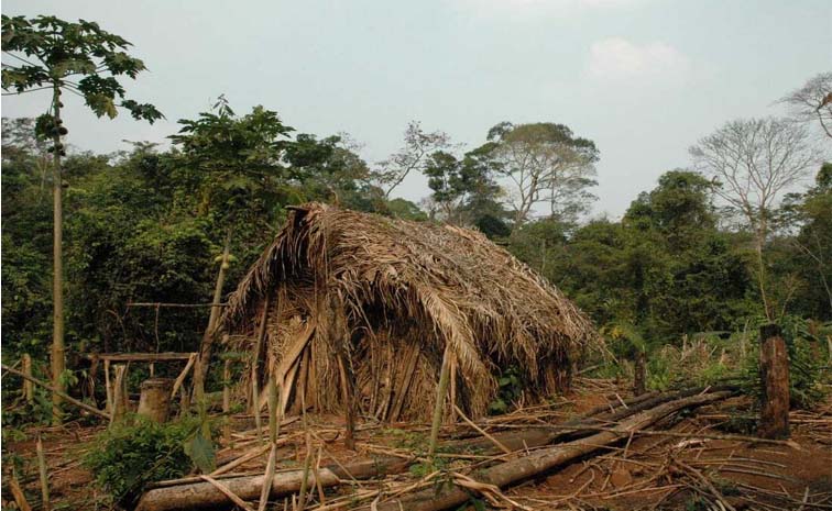 house1.jpg