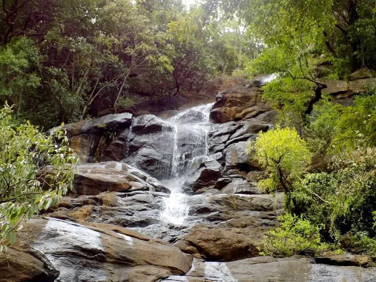 waterfalls_20in_20tamilanadu4.jpg 4