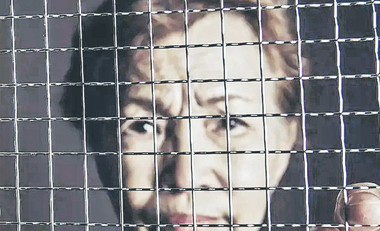 45654.jpg