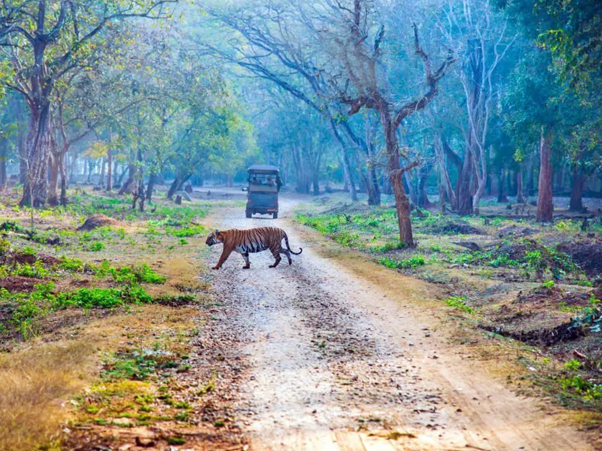 Coorg2.jpg 3