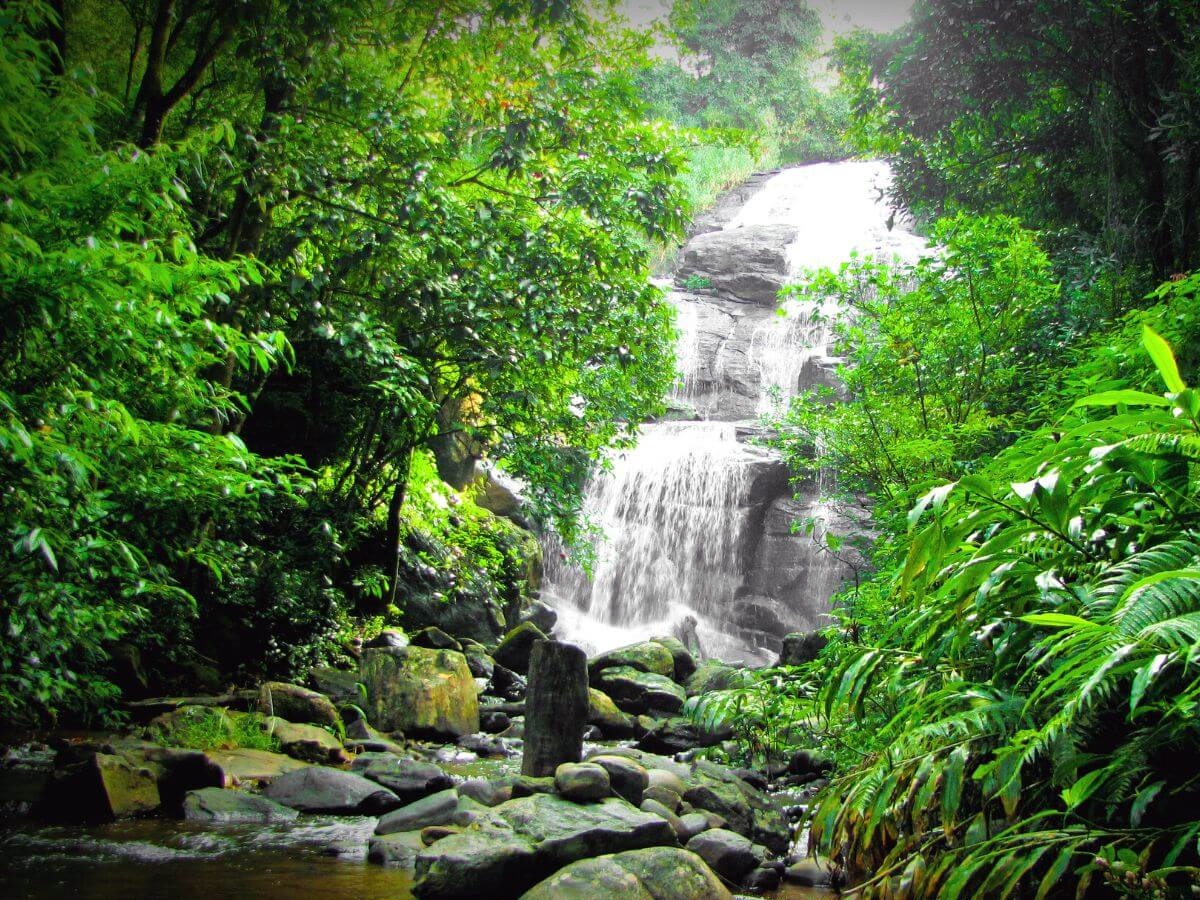 Coorg3.jpg 4