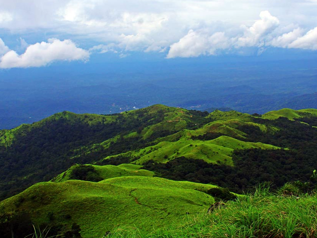 Coorg5.jpg 6