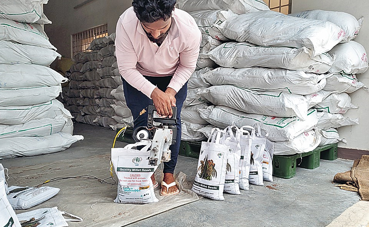 millets-seeds.jpg