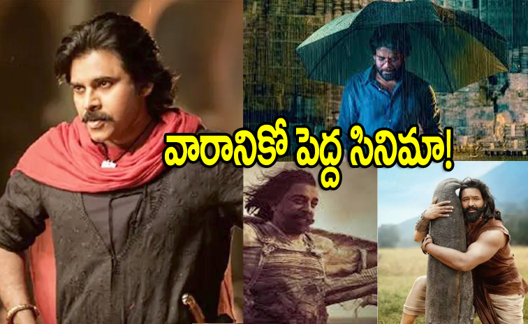 new-movies1.jpg