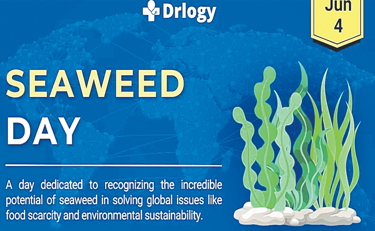 weed.jpg