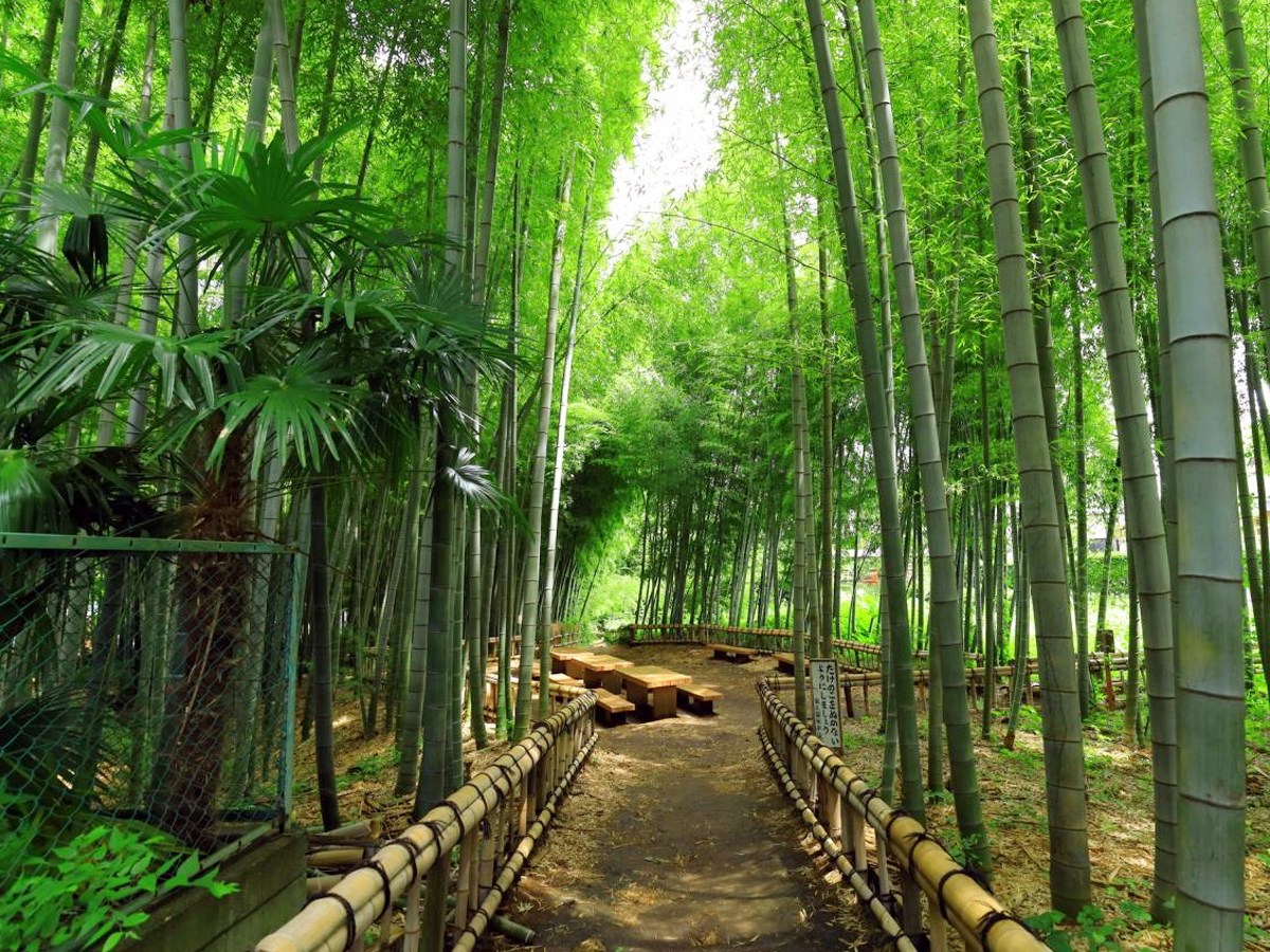 Natural_20bridges4.jpg 5