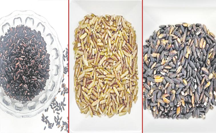 BALATINO-RICE.jpg
