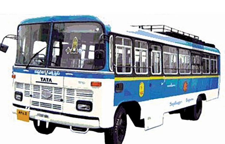 bus.jpg