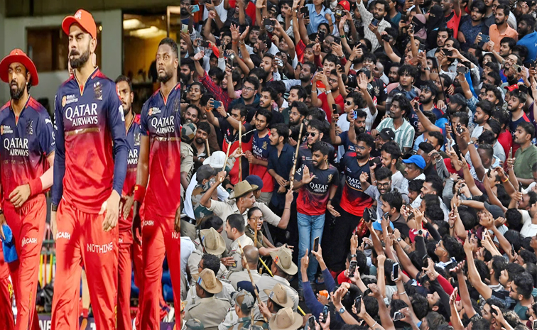 rcb11.jpg