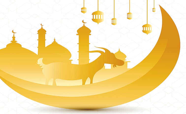 iStock-1257589653-Bakrid.jpg