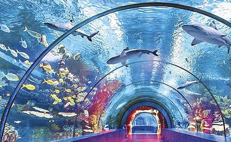 aquarium.jpg