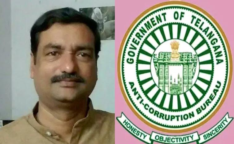 Sridhar.jpg