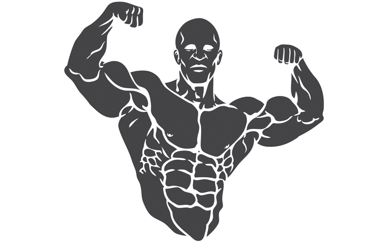 body.jpg