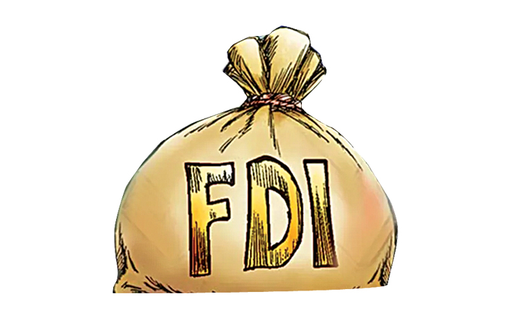 fdi.jpg