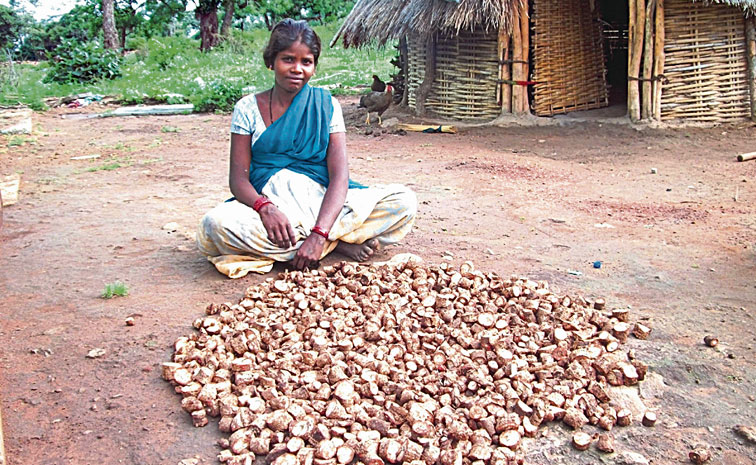 Nallamala-Tribe.jpg