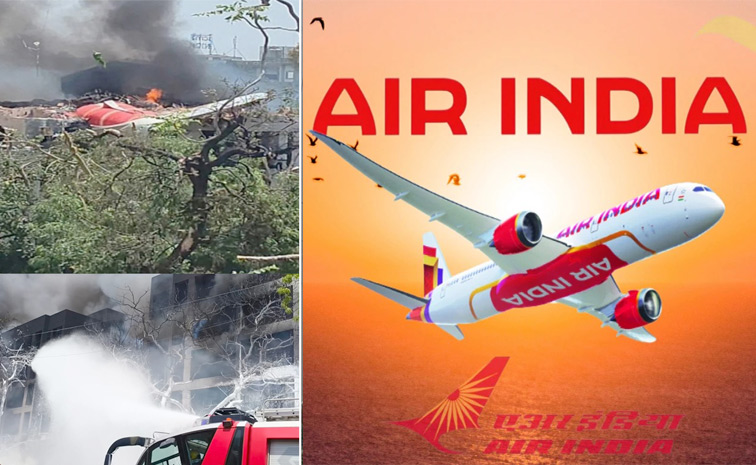 airindia_1.jpg