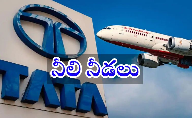 tata_281_29.jpg