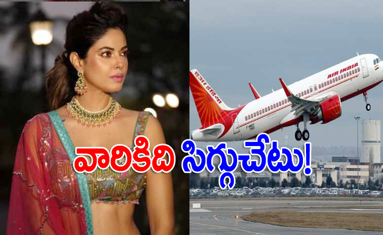 airindia_0.jpg
