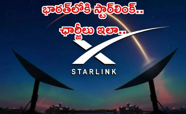 starlink01.jpg