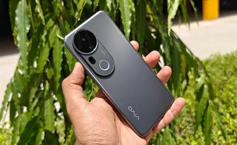 vivo01.jpg