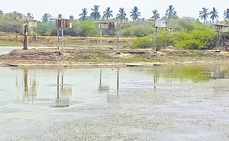 Kolleru-Lake.jpg
