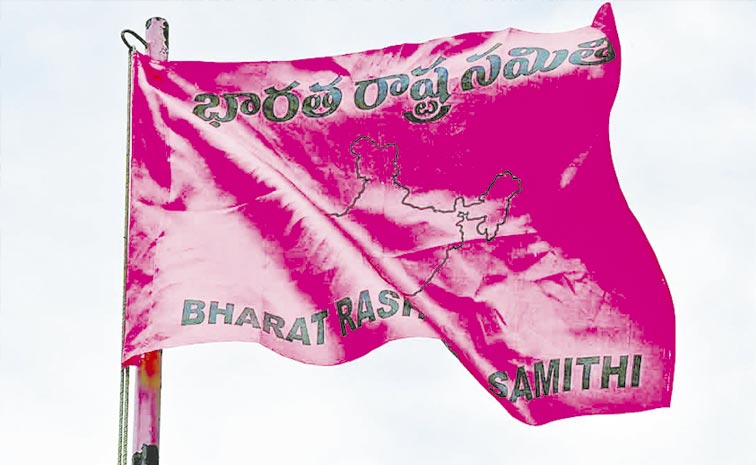 BRS-PARTY-FLAG-2.jpg