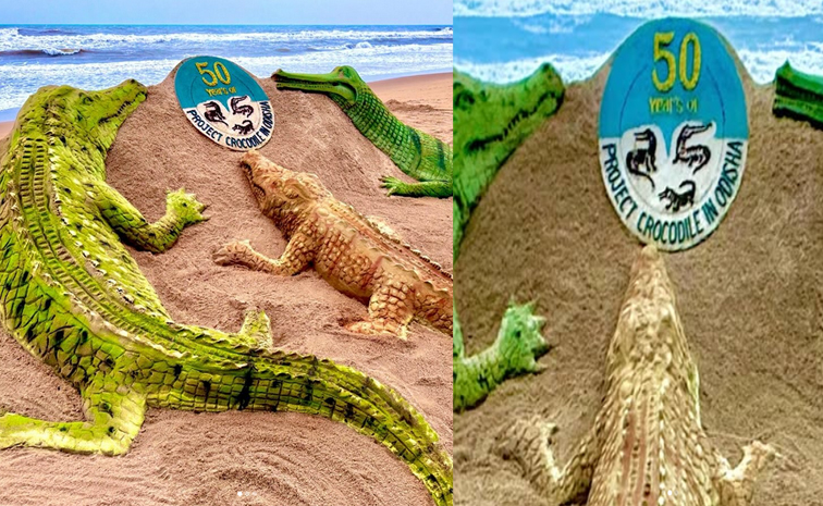 crocodile-sandart.jpg