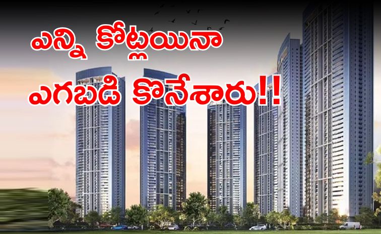 dlf.jpg