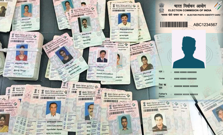 Voter-Ids.jpg
