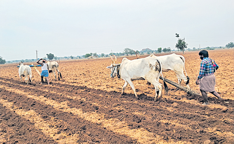agri.jpg