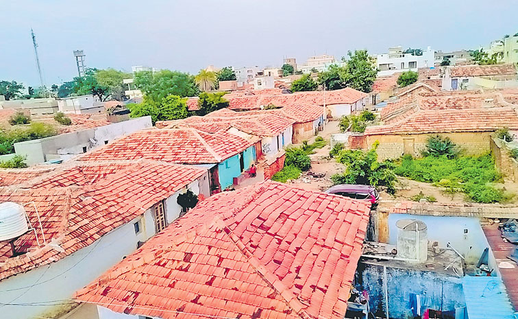 BiBiPet-Kamareddy.jpg