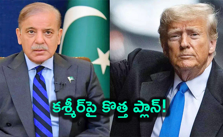 Pak-nominates-Donald-Trump.jpg