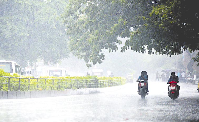 RAIN-7.jpg