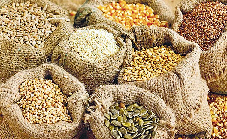 SEEDS2.jpg
