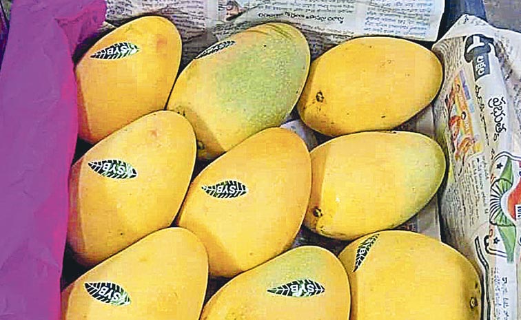 mango.jpg