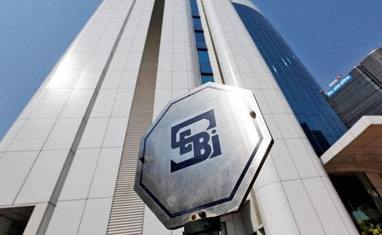 sebi.jpg