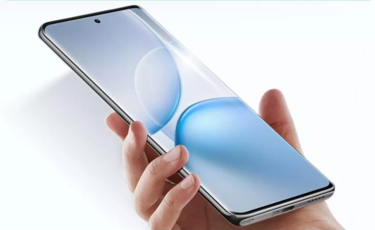 vivo.jpg