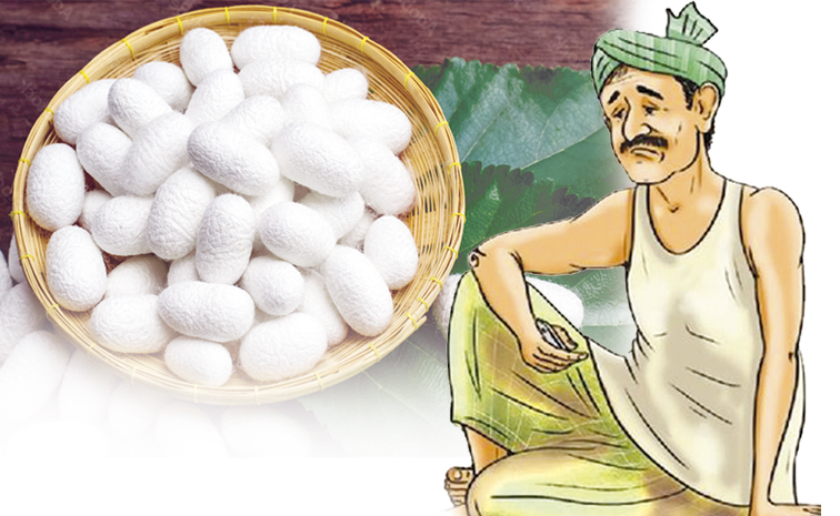 Silk-Farmers.jpg