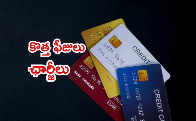 credit-card.jpg