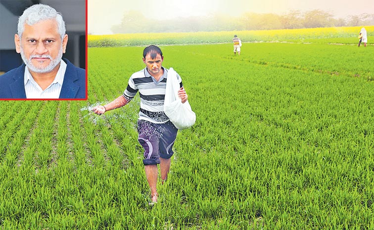 Farmer--503647342.jpg