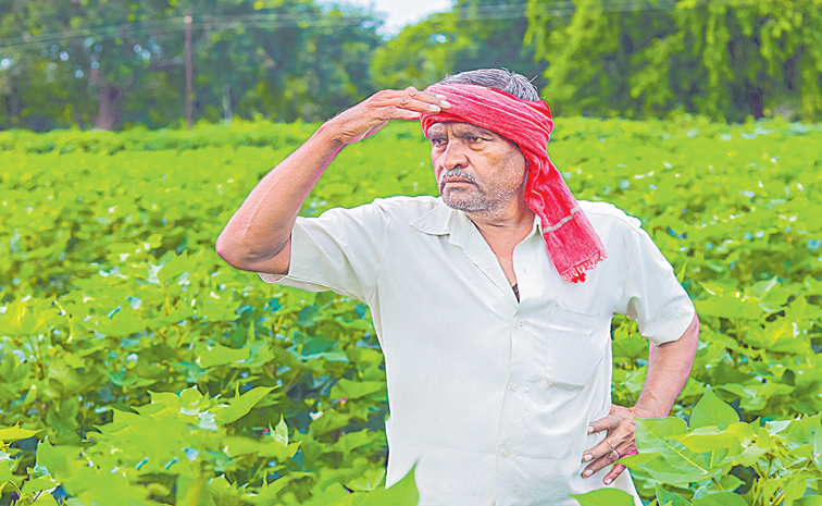 farmer.jpg