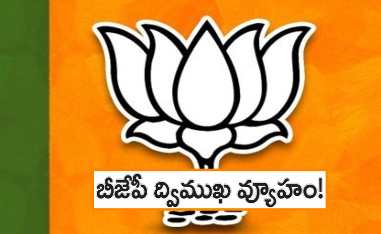 BJP-Strategy.jpg
