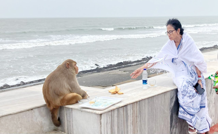 Mamata_20Banerjee.jpg