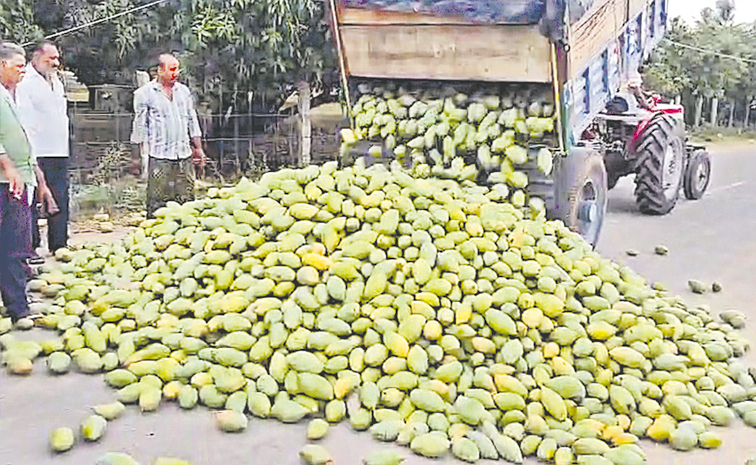 mango.jpg