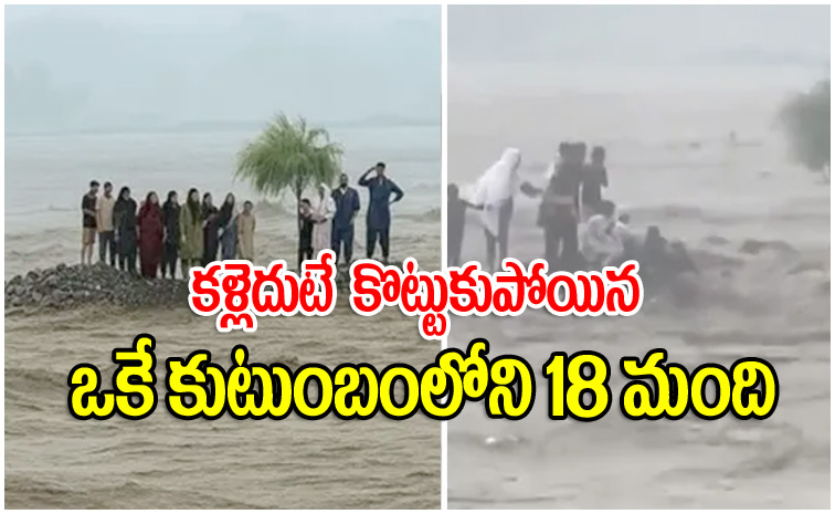 beach7.jpg