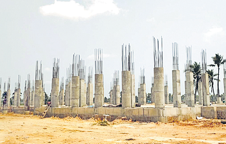 matsya.jpg